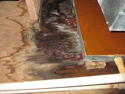 About Water Damage Restoration Orlando FL - water damage restoration experts in Orlando, FL